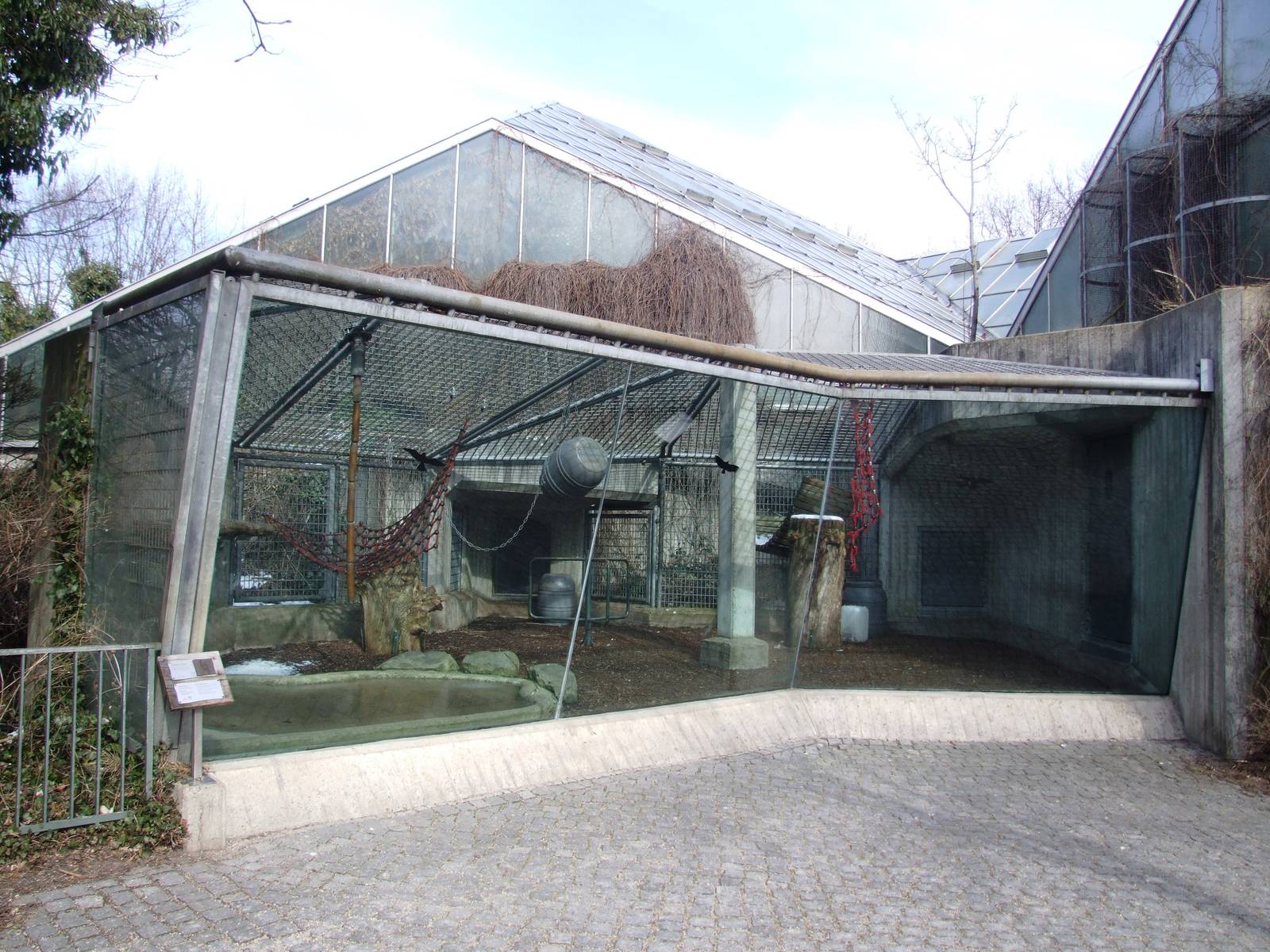 Orang-Utan Outdoor Exhibit at Hannover, 23/03/13