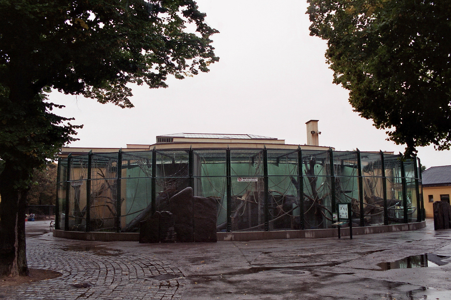 Orang utan outdoor exhibit