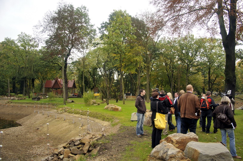 Orang-Utan outdoors at ZOOM Asien