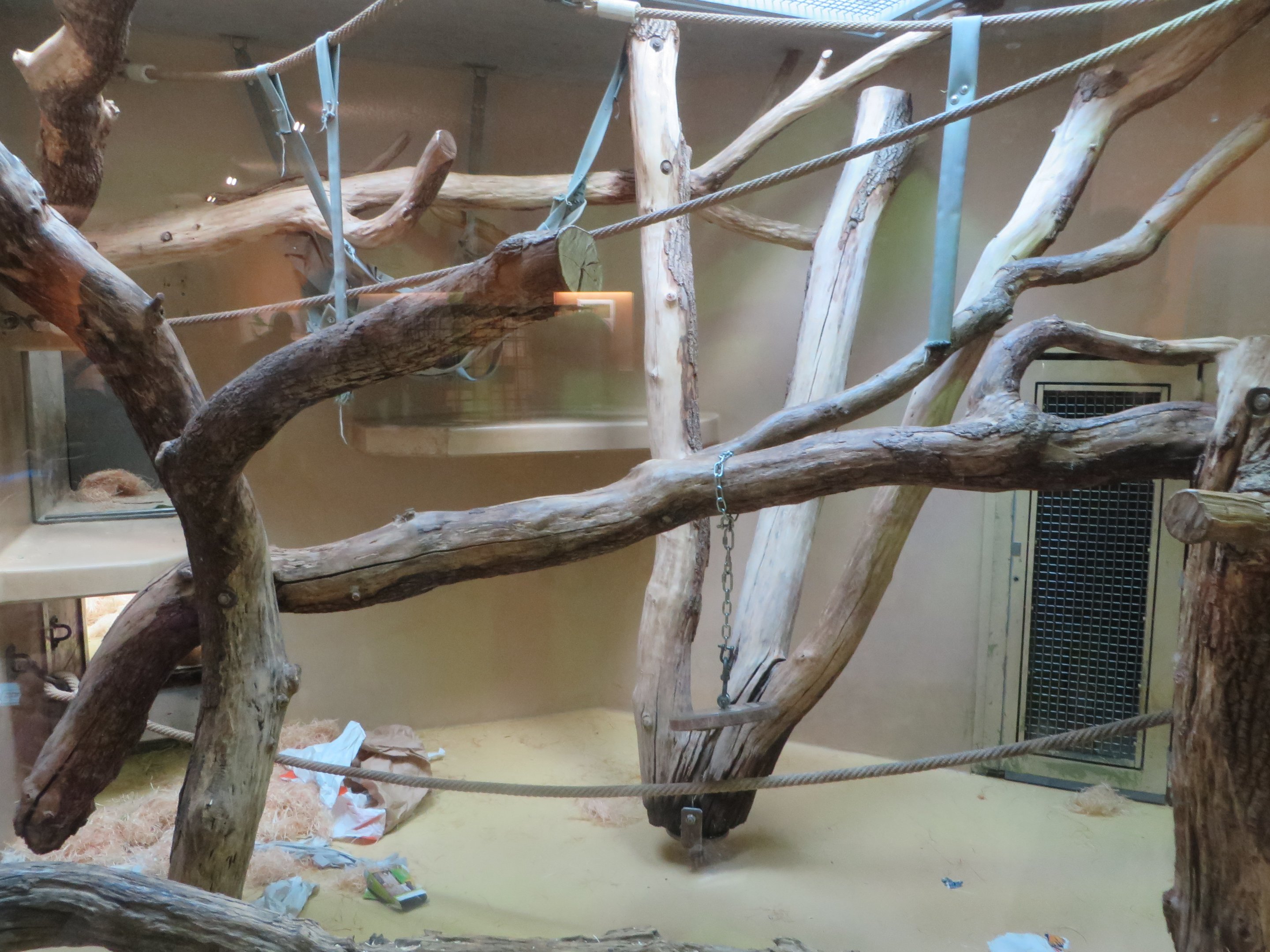 Orang utan smaller indoor enclosure