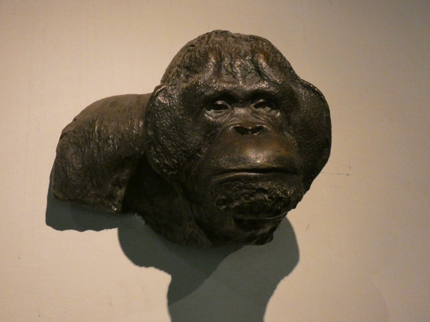Orang-utan statue