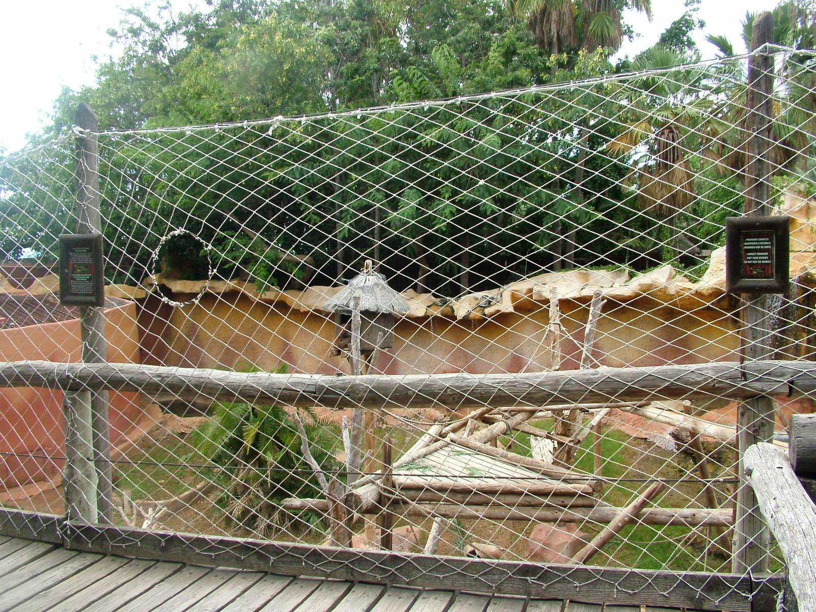 Orang-Utan Viewing at Jungle Park (Las Aguilas), 13/11/10