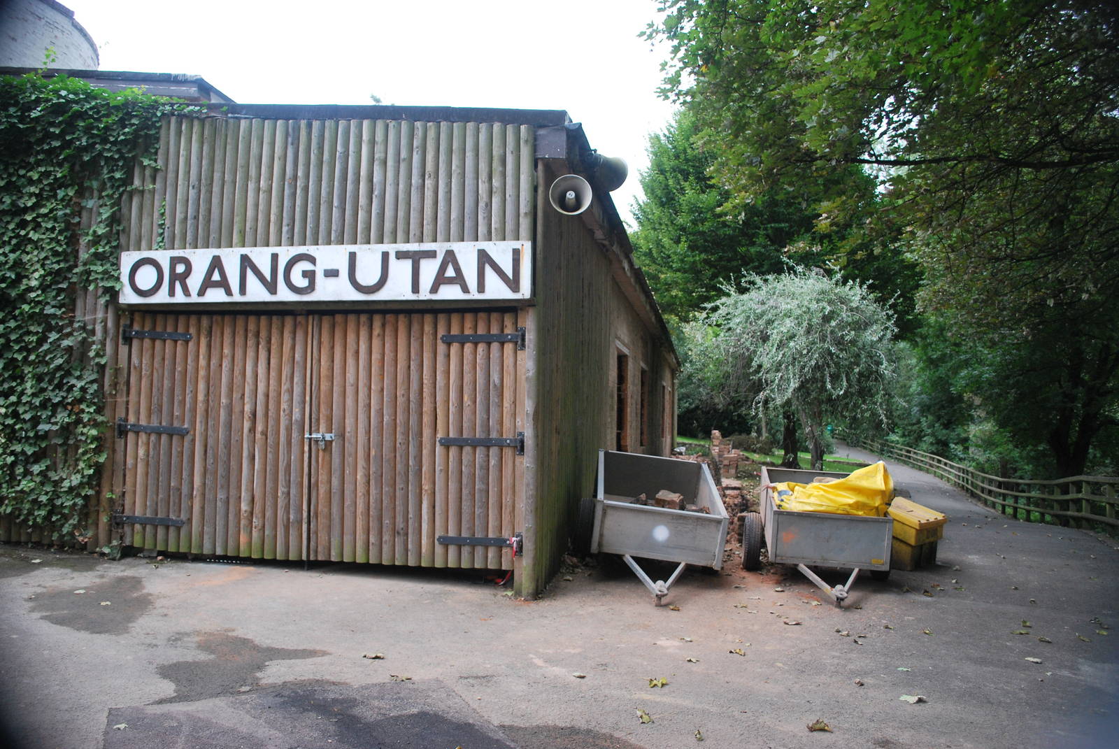Orangatang house