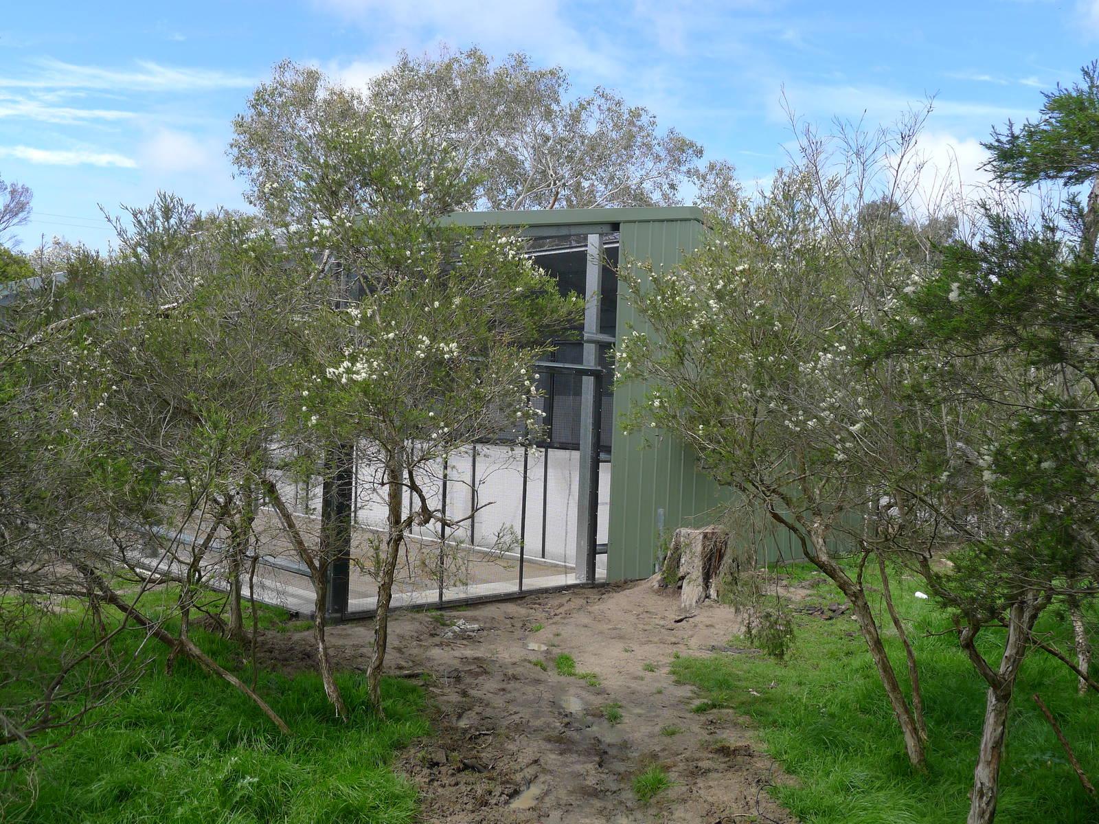 Orange Bellied parrot avairy
