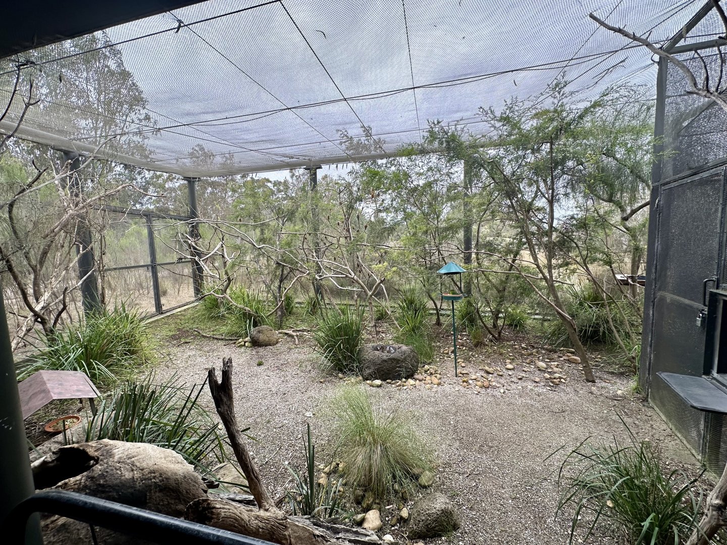 Orange-bellied Parrot Aviary