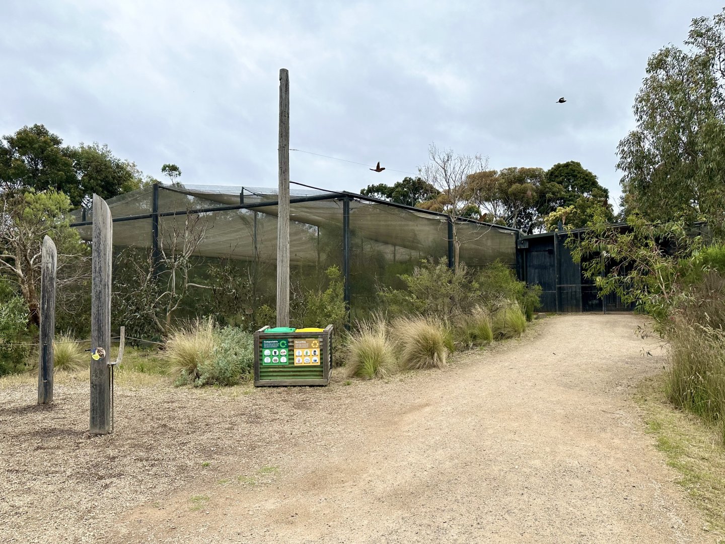 Orange-bellied Parrot Aviary