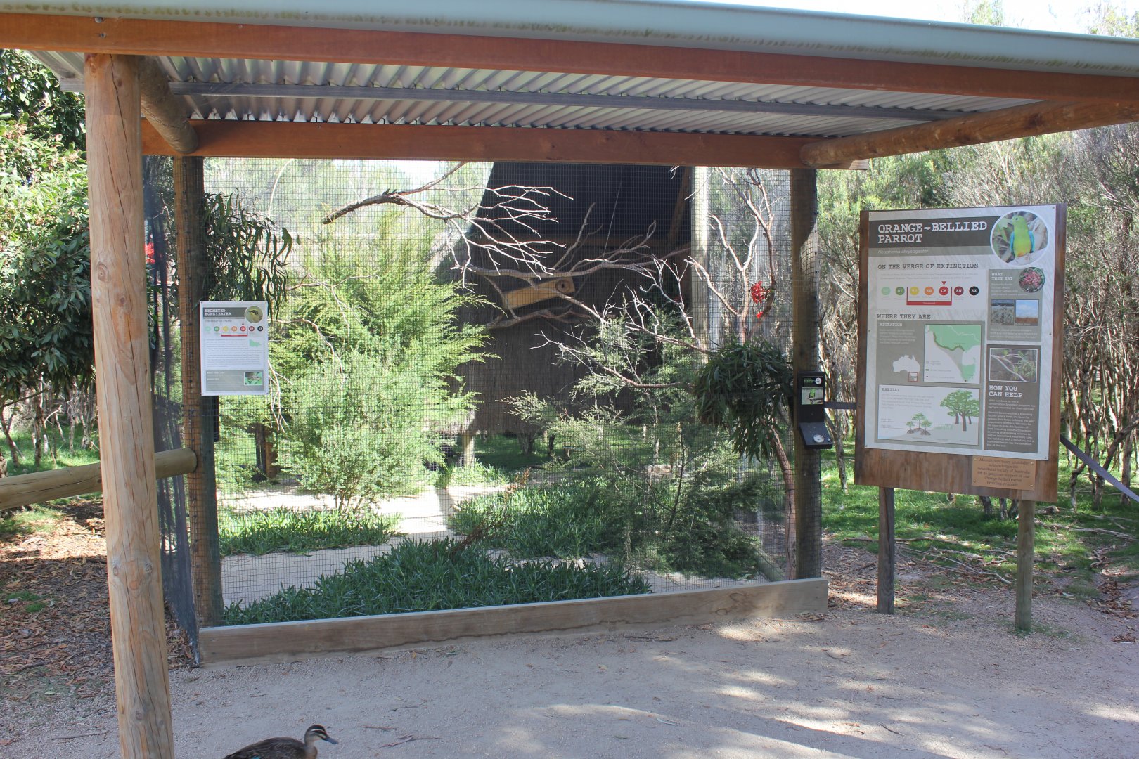Orange-bellied Parrot & Helmeted Honeyeater enclosure