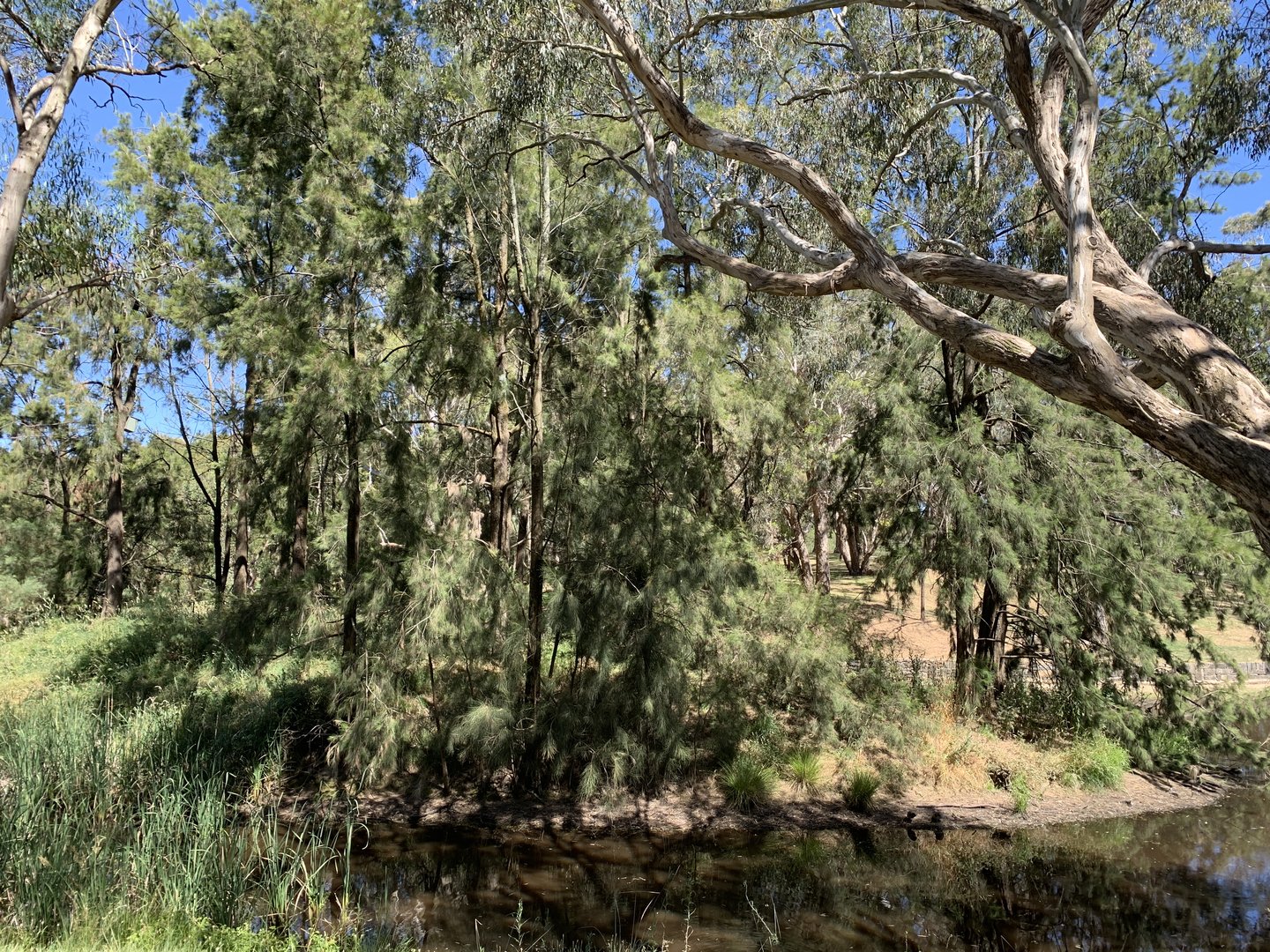 Orange Botanic Gardens Island