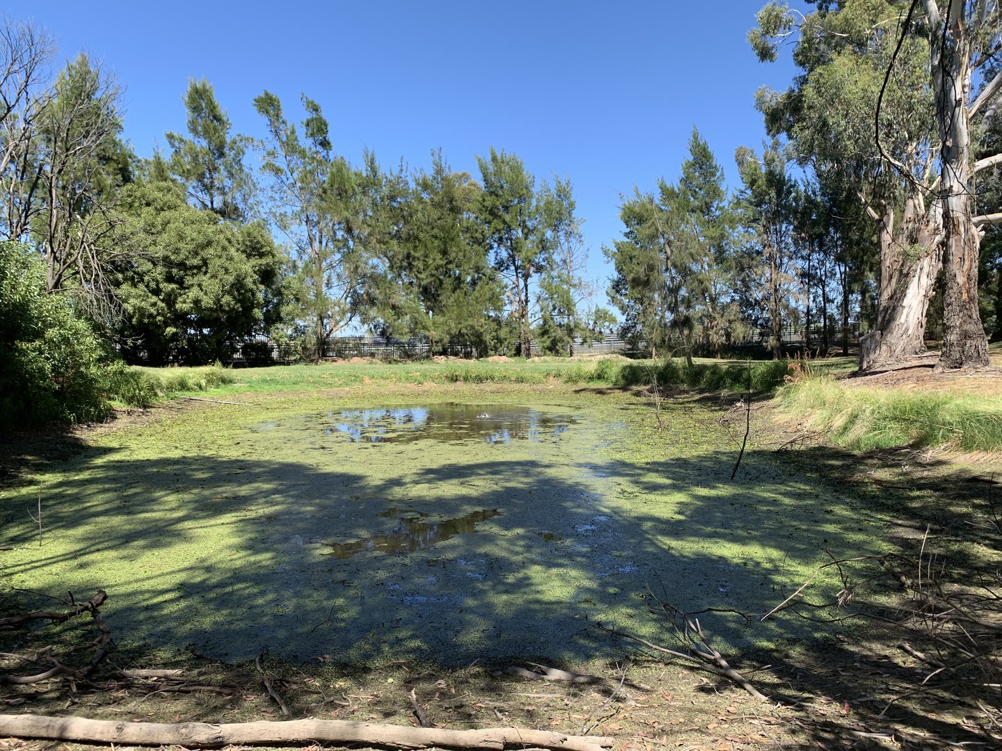 Orange Botanic Gardens- Western Pond
