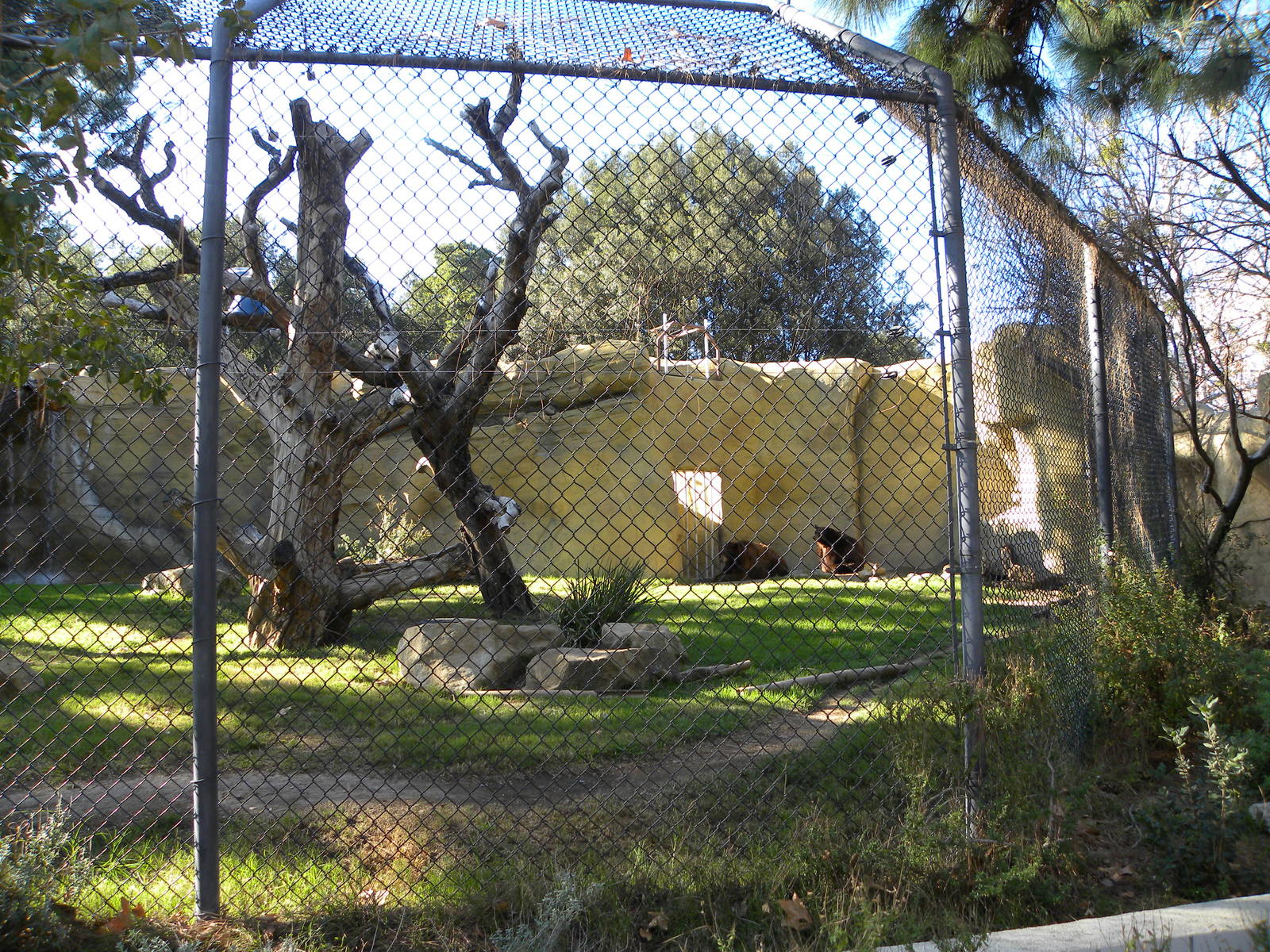 Orange County Zoo
