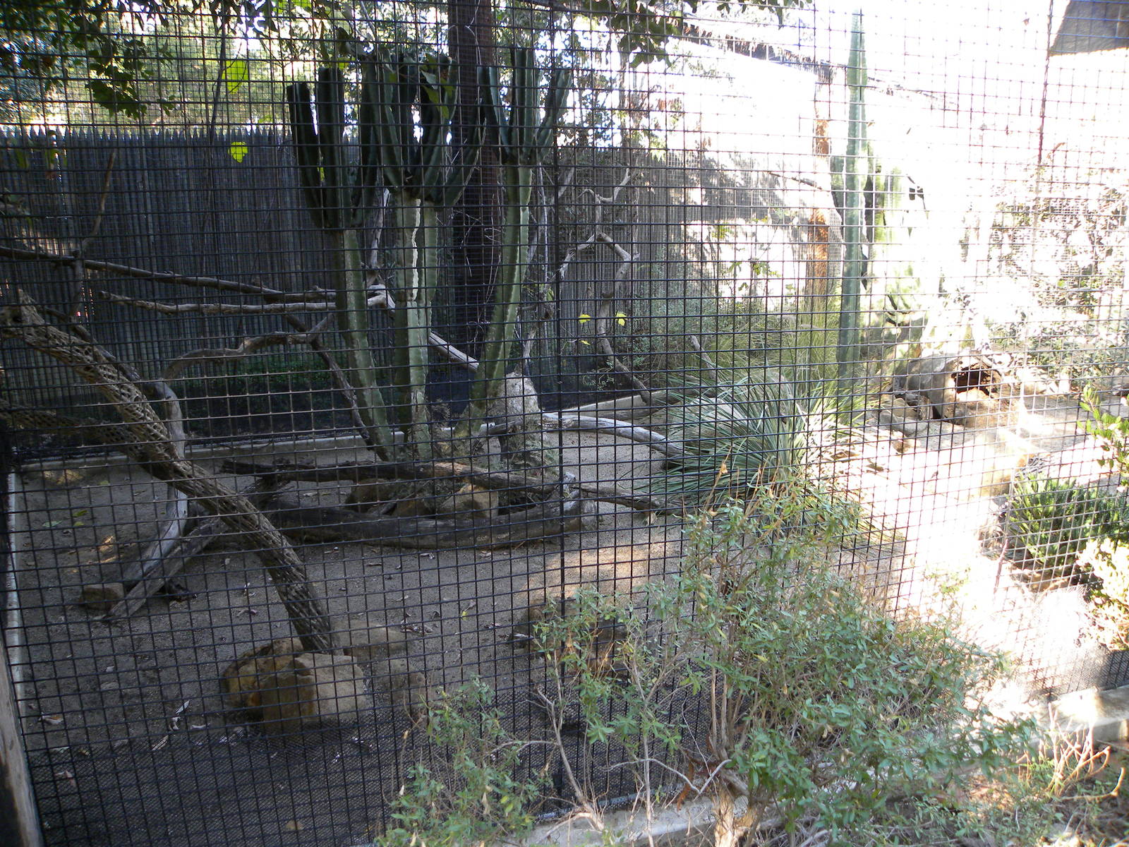 Orange County Zoo