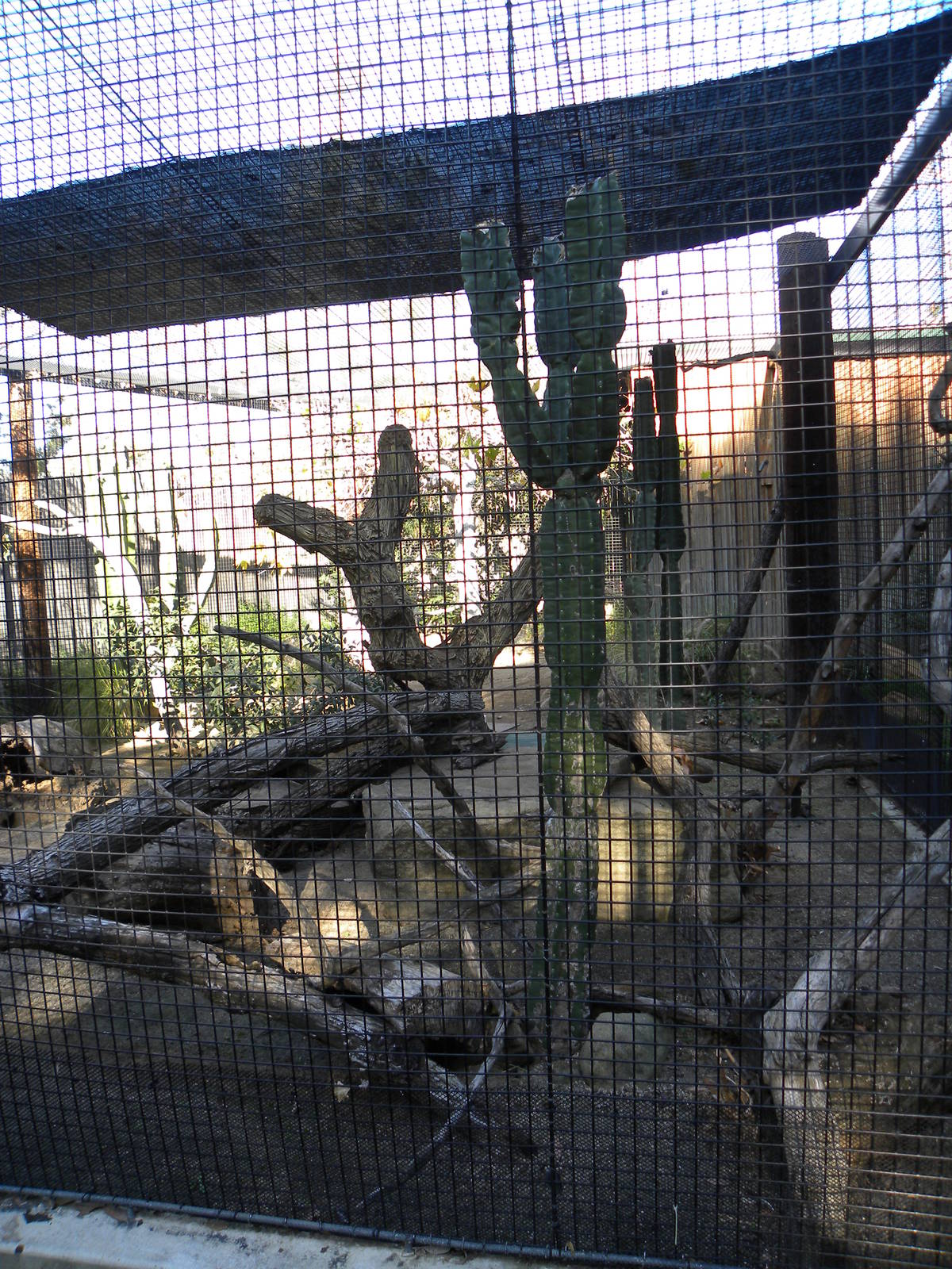 Orange County Zoo
