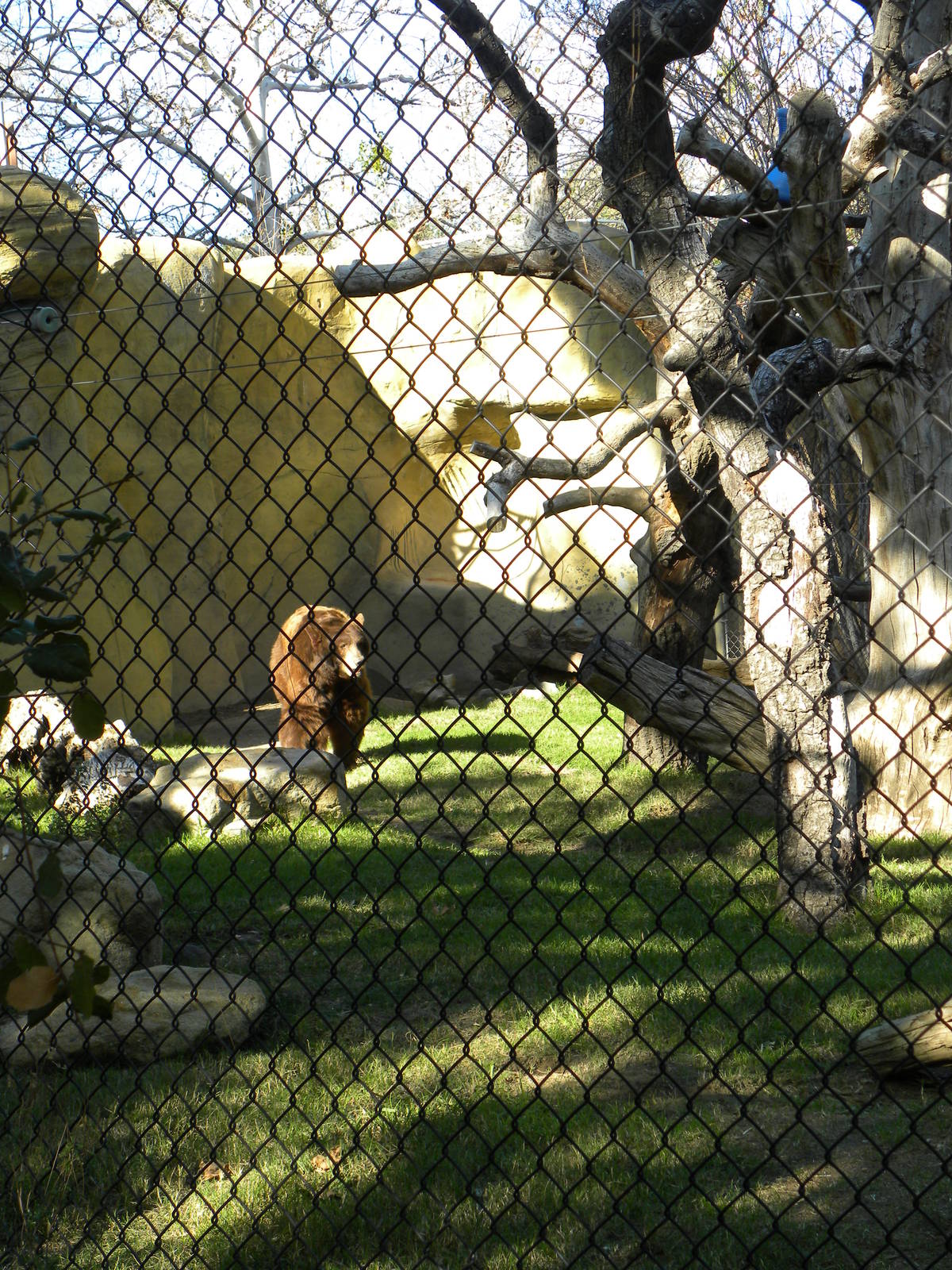Orange County Zoo