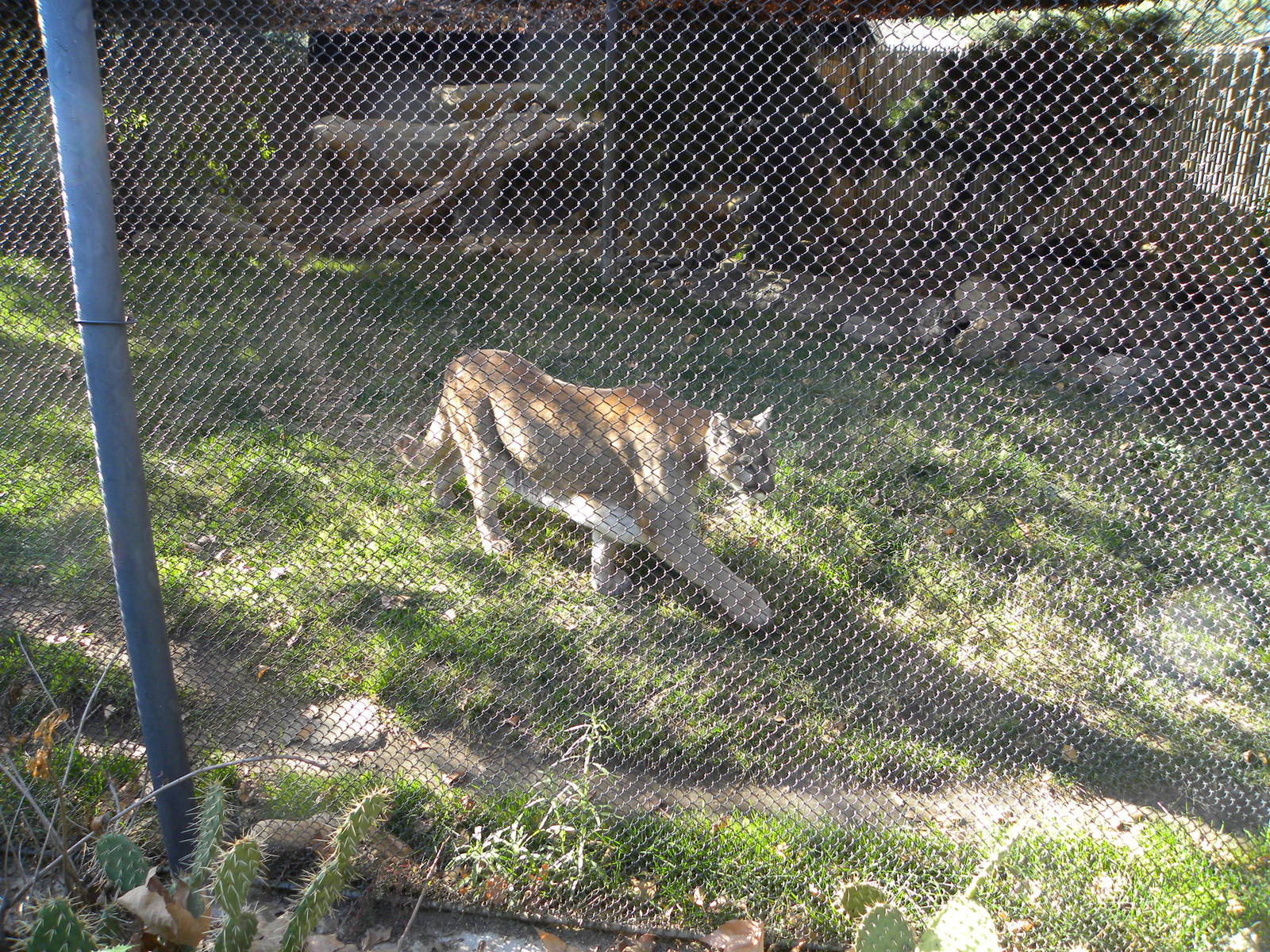Orange County Zoo