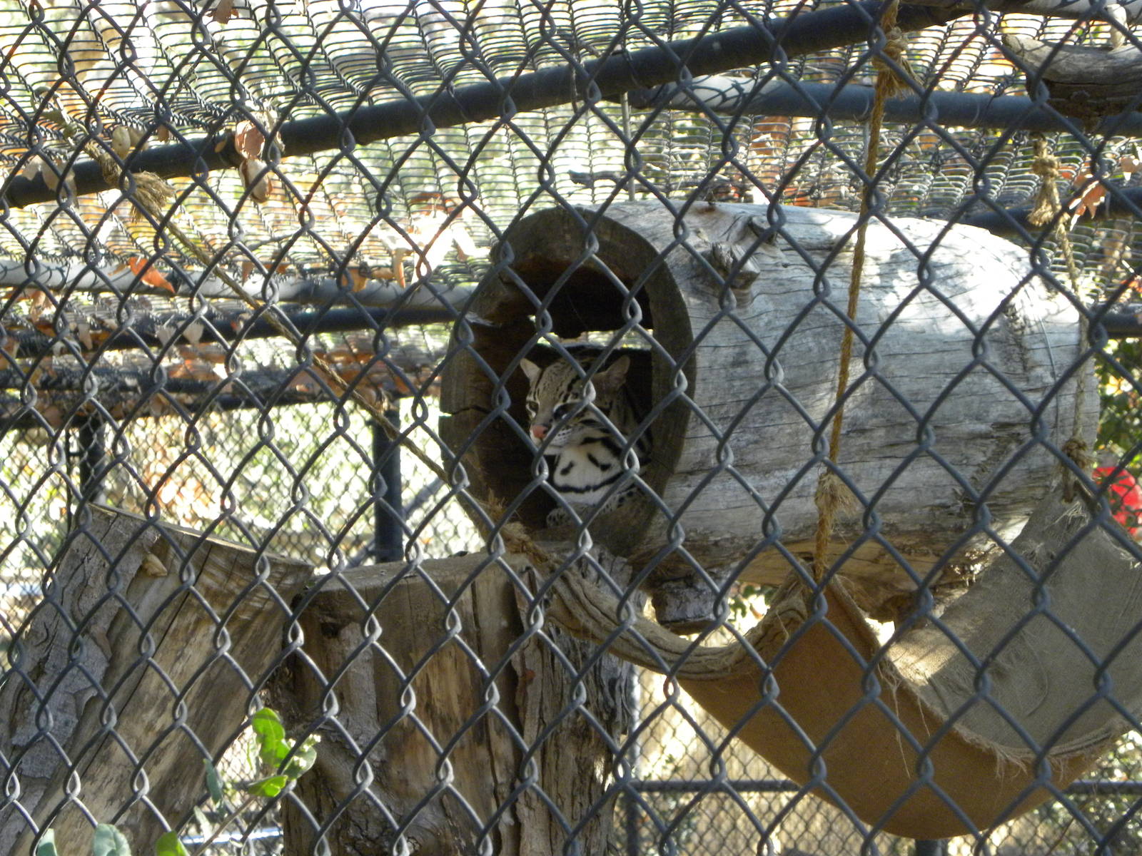 Orange County Zoo