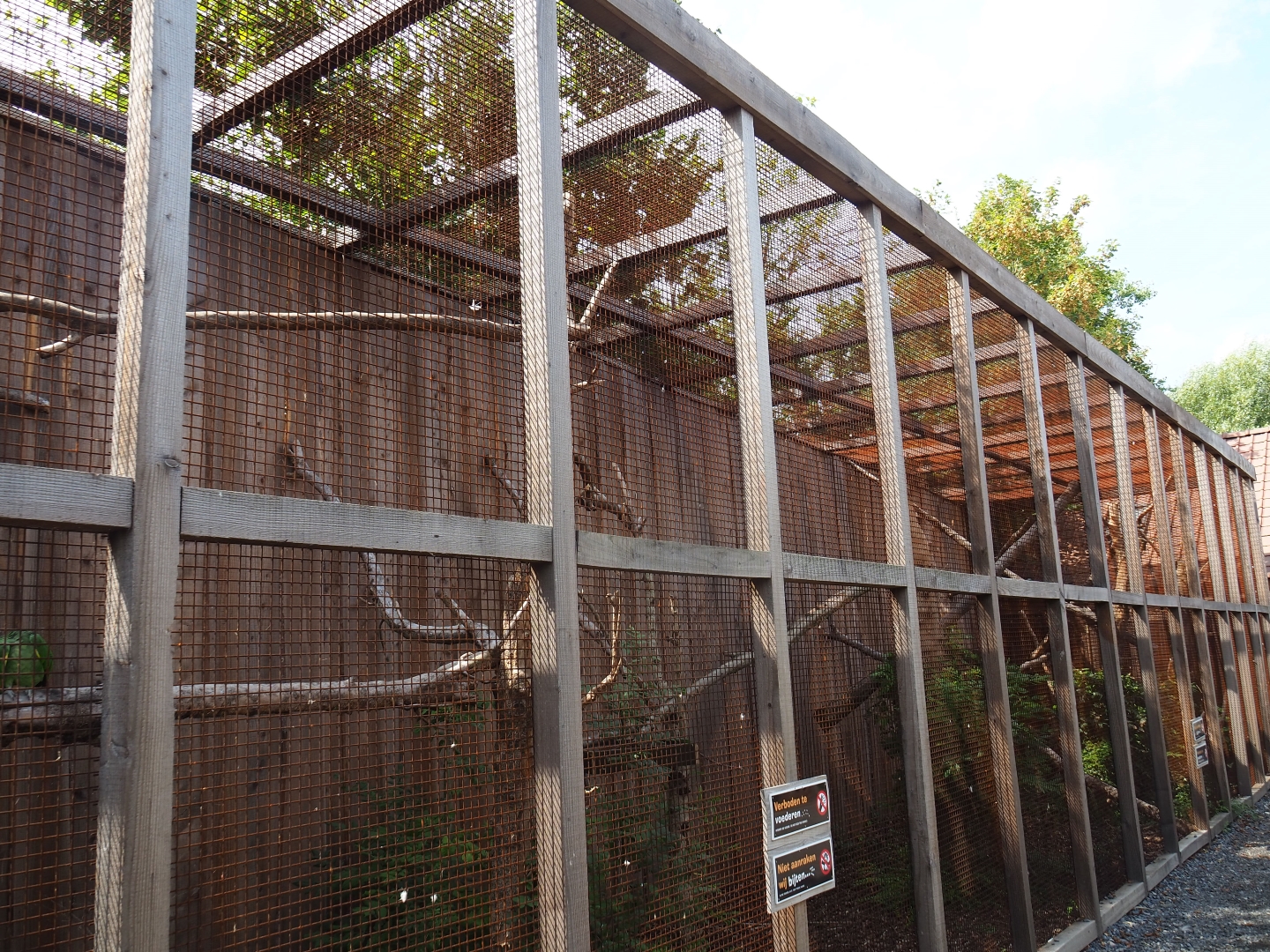 Orange-winged amazon/African grey parrot aviary