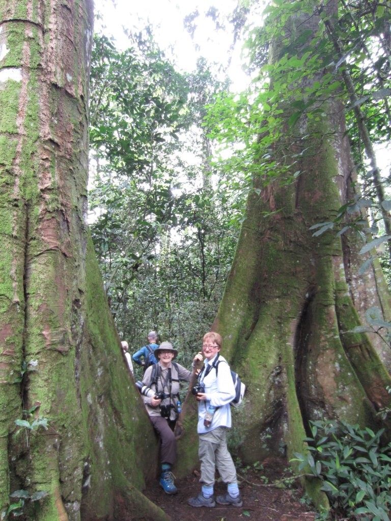 Orangeperson, Angela and two big buttresses