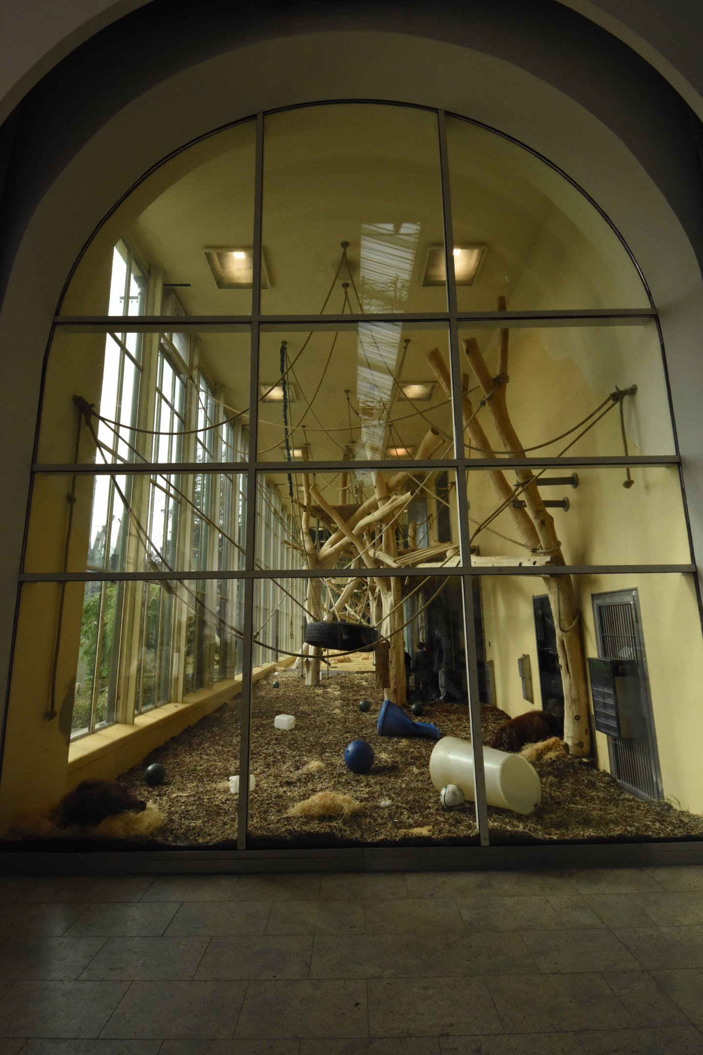 Orangerie - indoor main viewing window