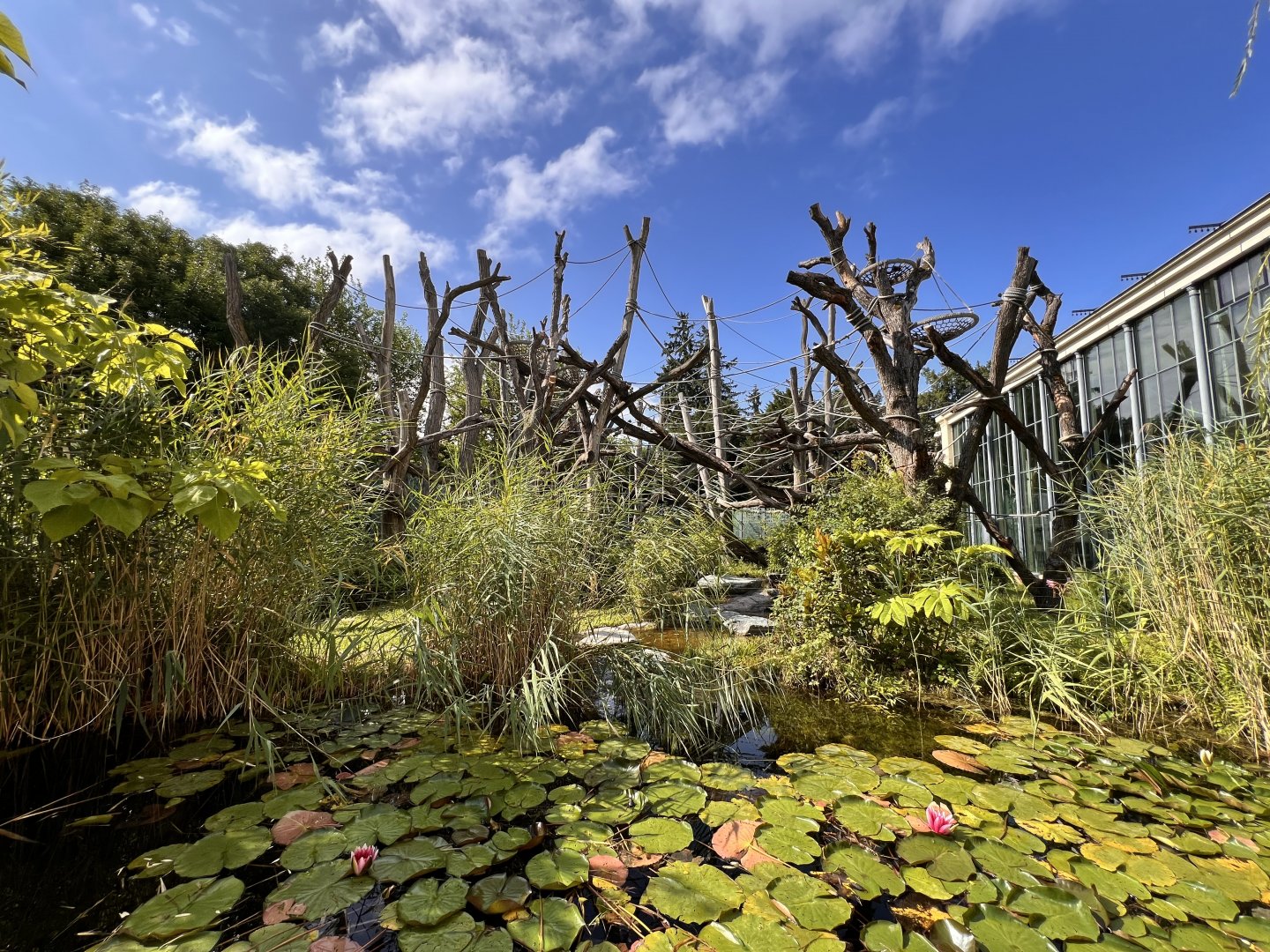 ORANGerie Outdoor Exhibit