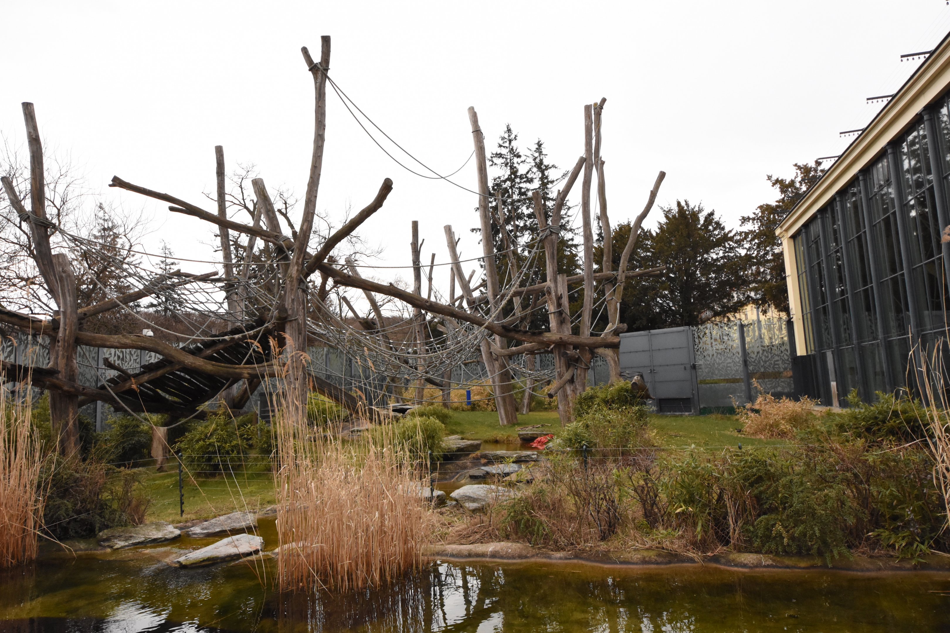 Orangerie - Outdoors