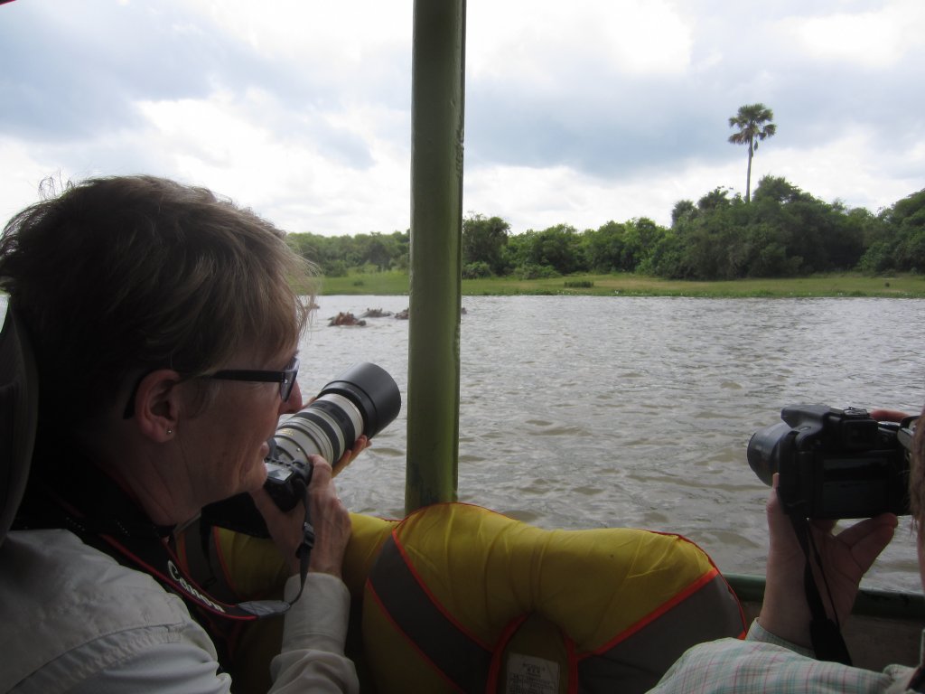 Orangperson looking for a shot at hippos