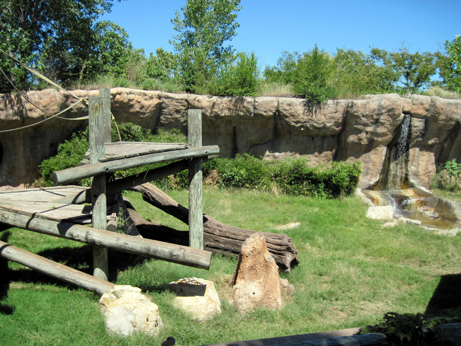 Orangutan and Chimpanzee Habitat-Chimpanzee Exhibit