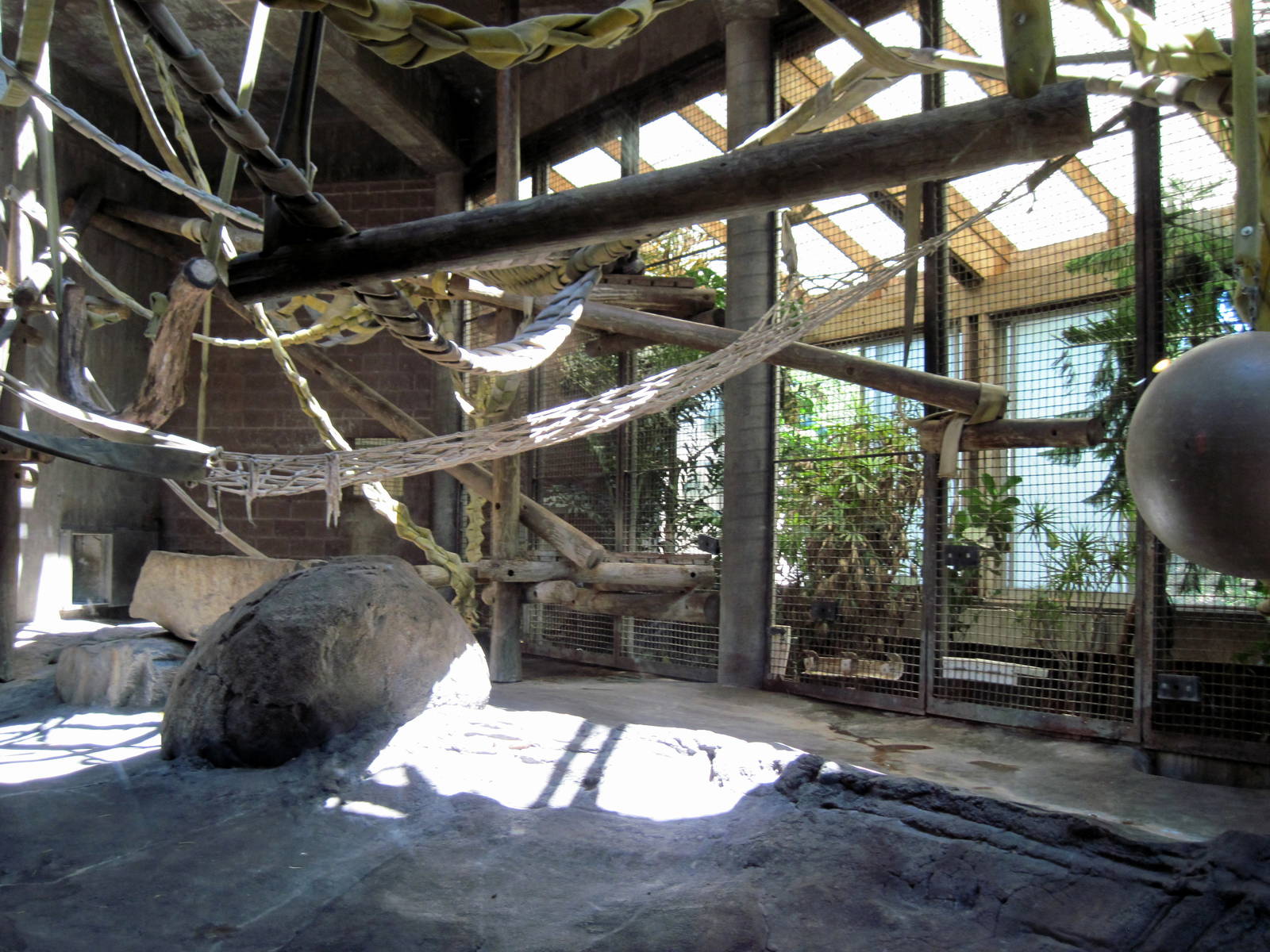 Orangutan and Chimpanzee Habitat-Chimpanzee Exhibit