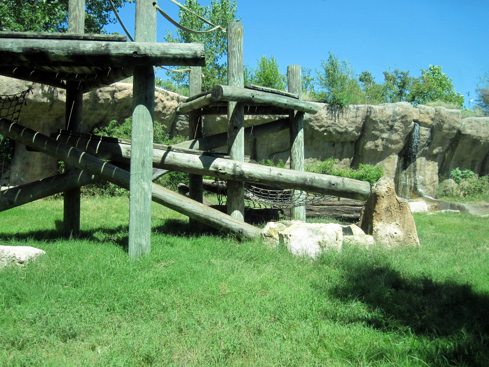 Orangutan and Chimpanzee Habitat-Chimpanzee Exhibit