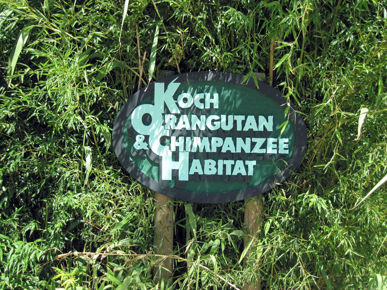 Orangutan and Chimpanzee Habitat-Signage