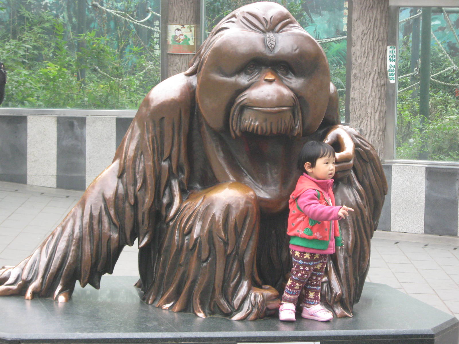 orangutan and friend