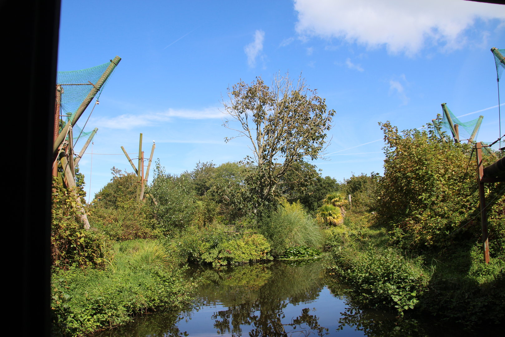 Orangutan and Gibbon Islands