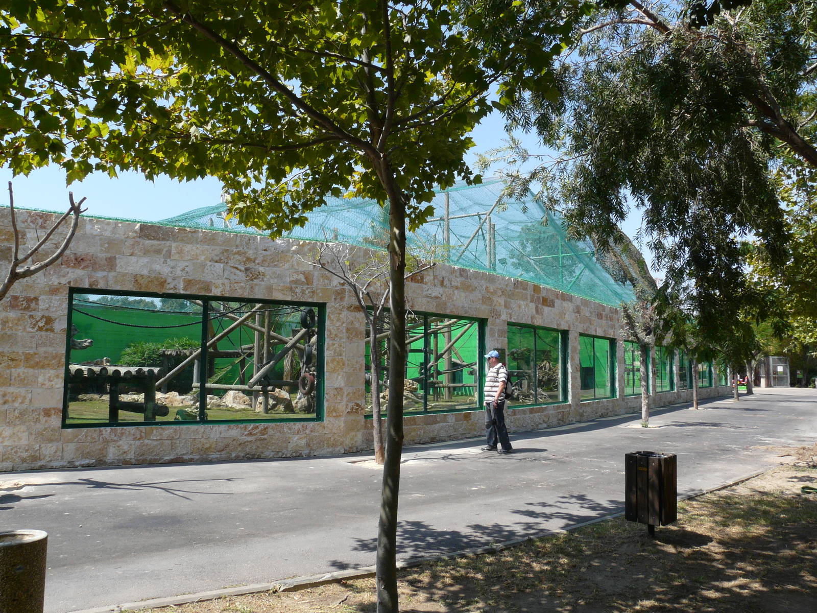 Orangutan and gibbons mixed exhibit