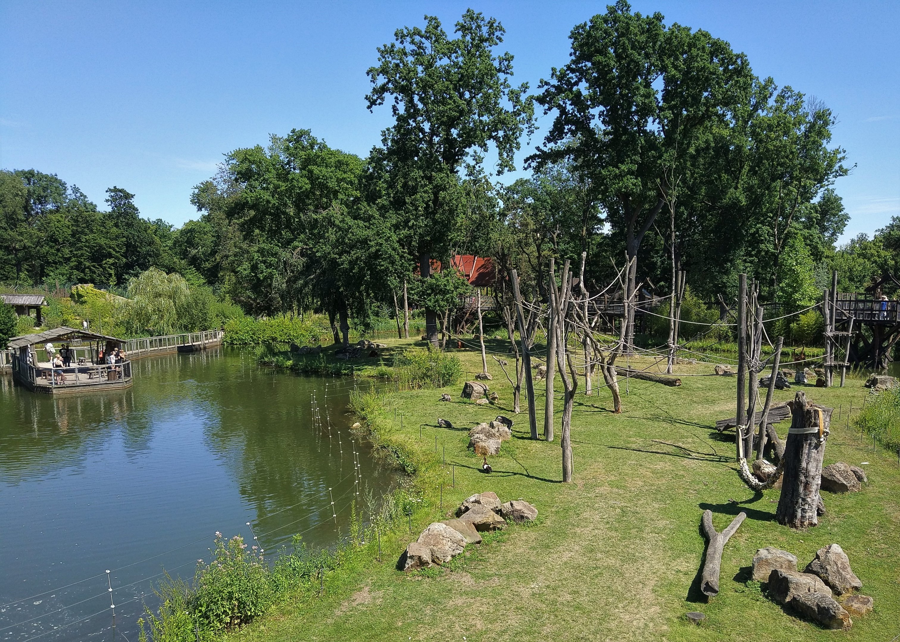 Orangutan and Grey Langur Enclosure