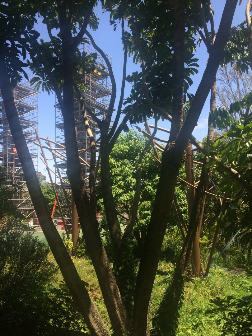 Orangutan and Siamang Exhibit (13/12/2019)