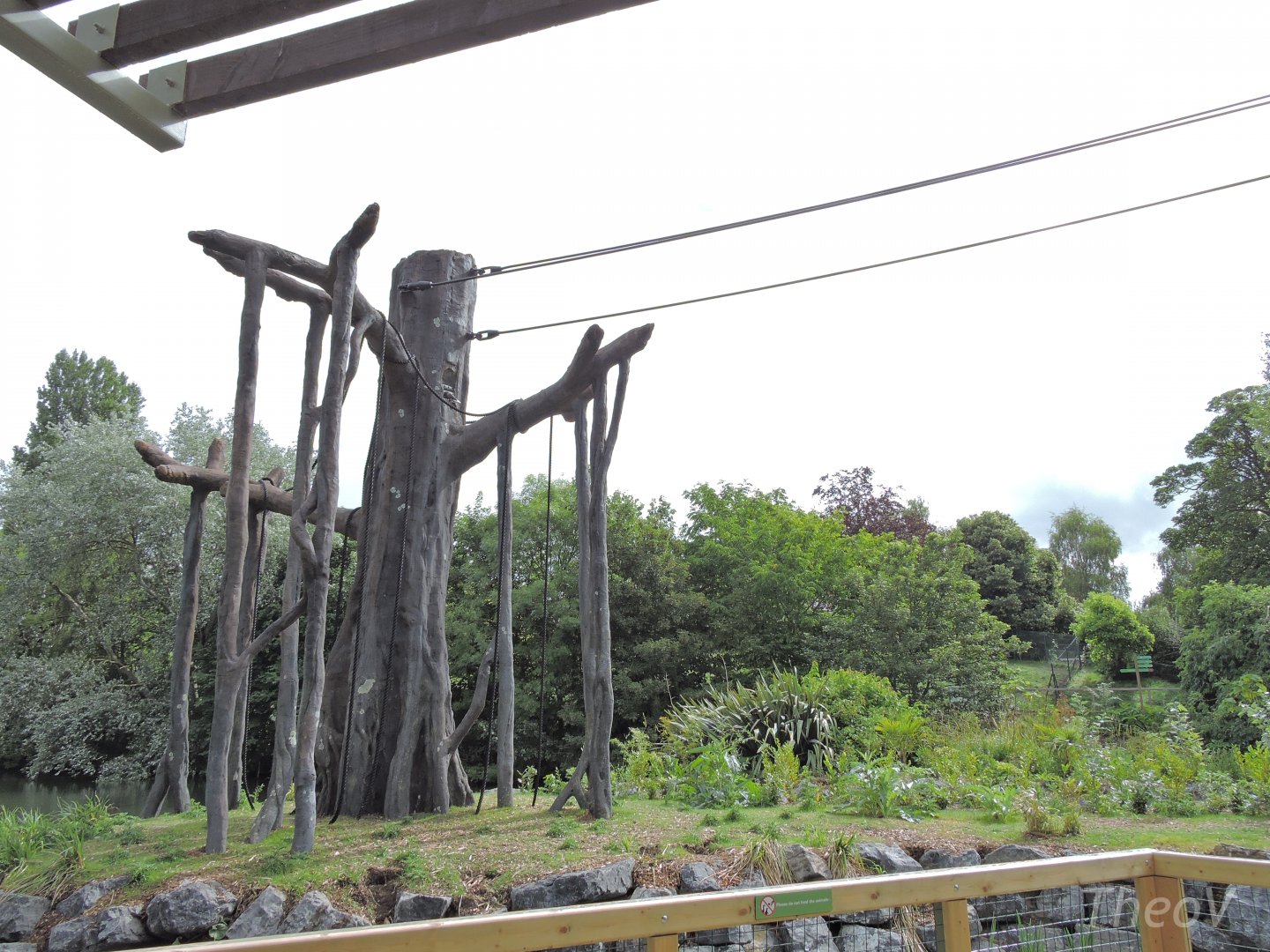 Orangutan and siamang exhibit [2016]