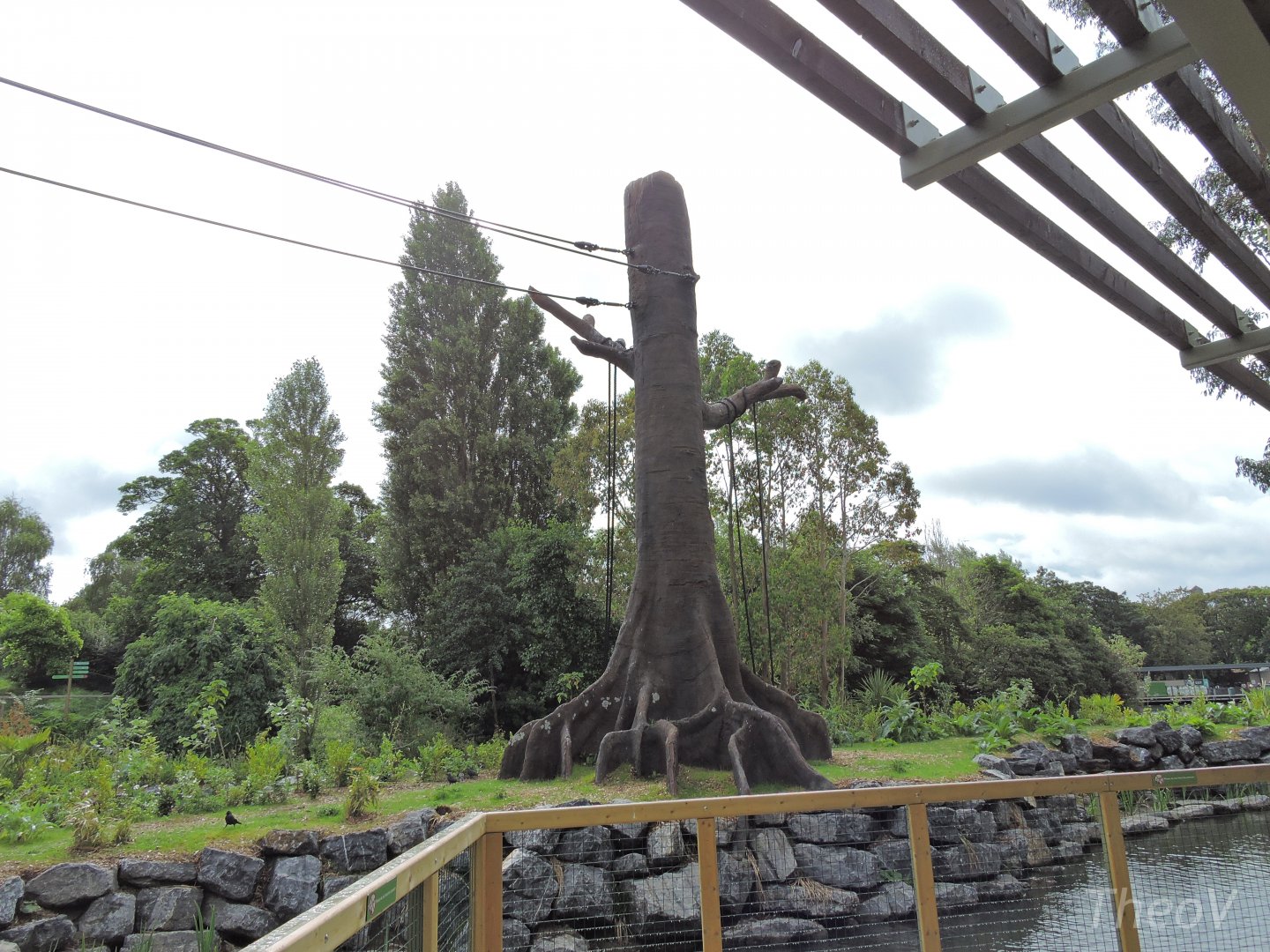 Orangutan and siamang exhibit [2016]