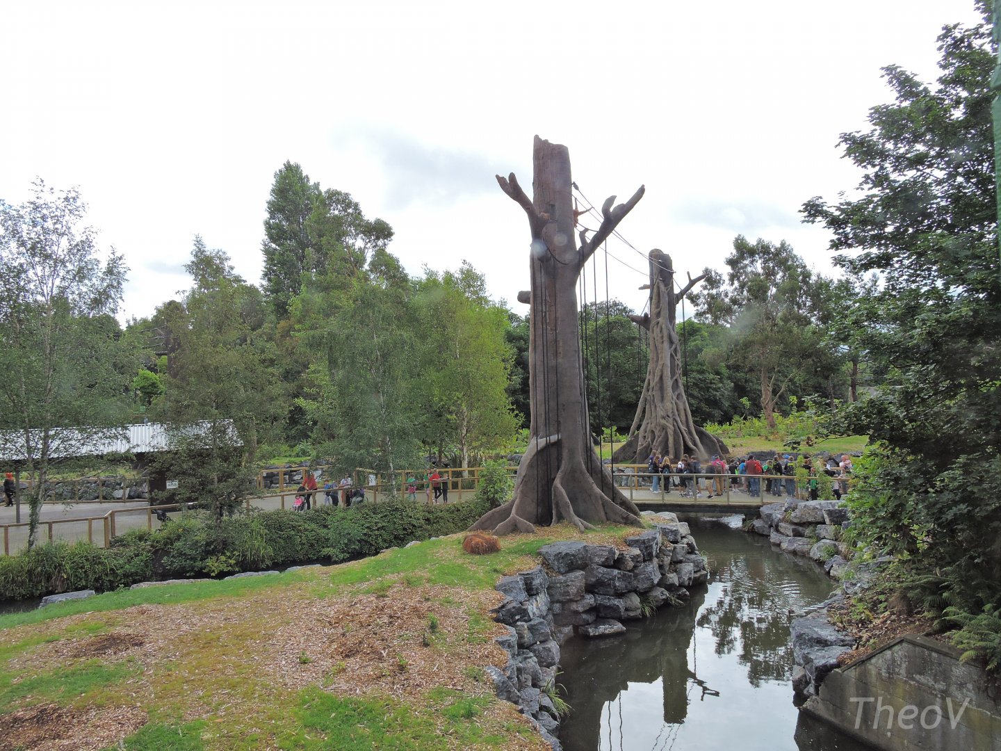 Orangutan and siamang exhibit [2016]