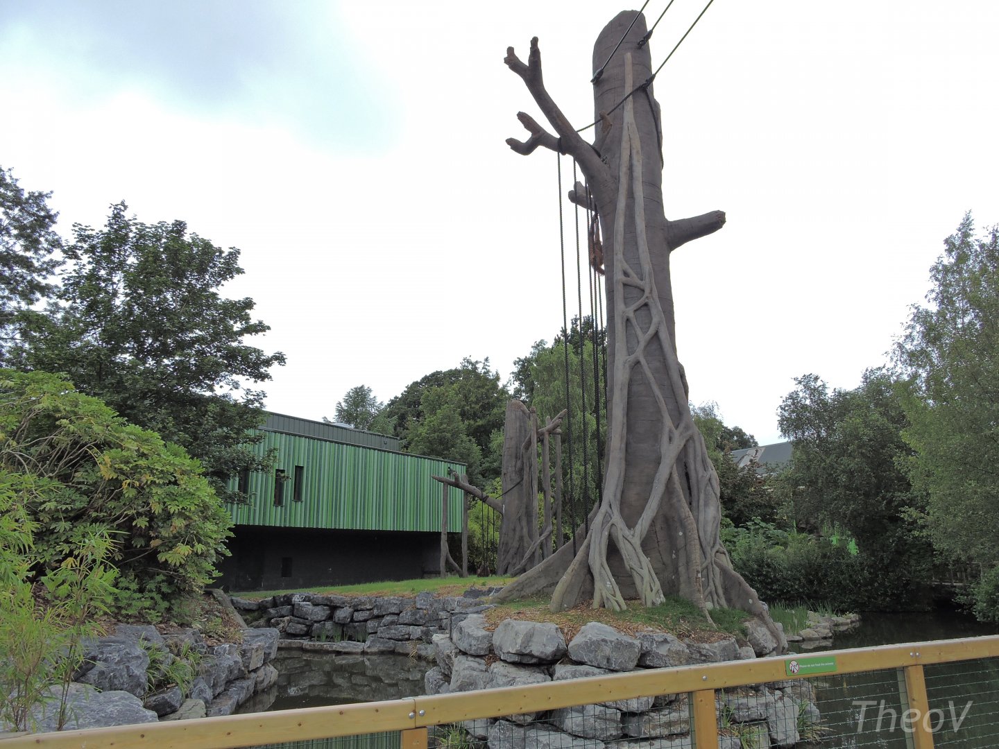 Orangutan and siamang exhibit [2016]