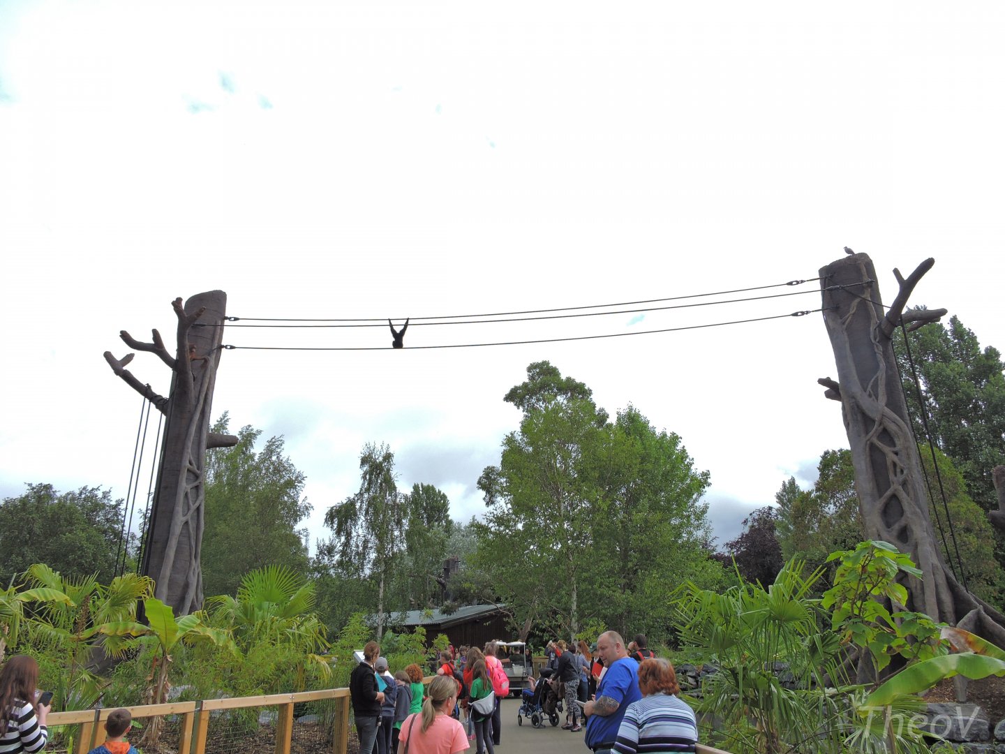 Orangutan and siamang exhibit [2016]