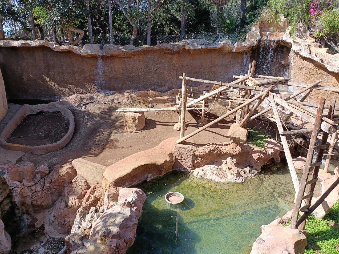 Orangutan and siamang exhibit
