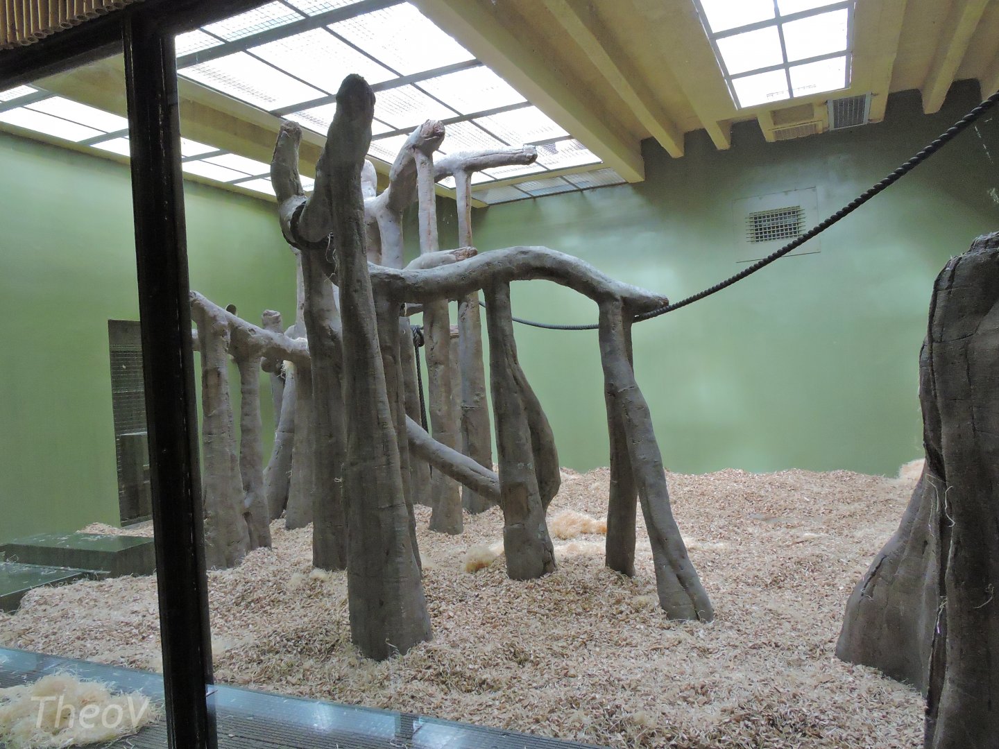Orangutan and siamang indoor exhibit [2016]