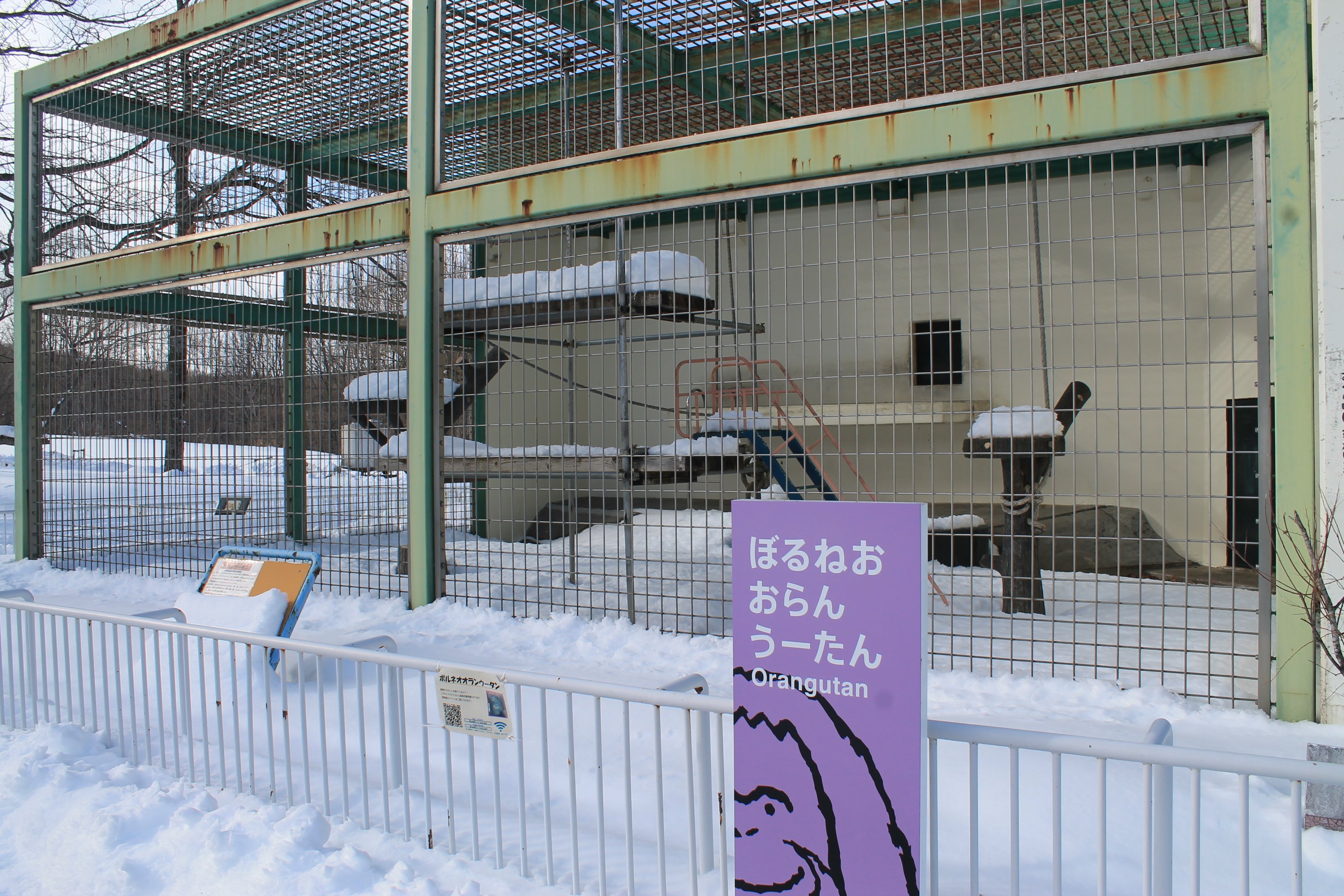 Orangutan cage, Kushiro Zoo