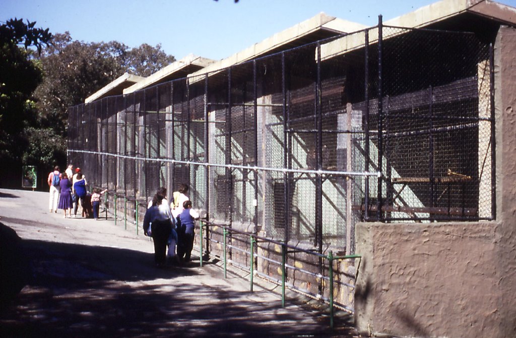 Orangutan Cages, 1987