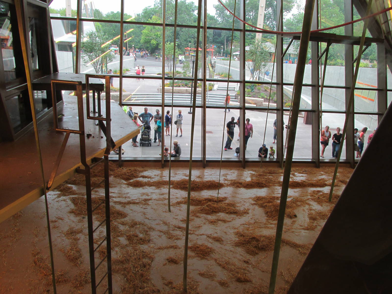 Orangutan Center Interior