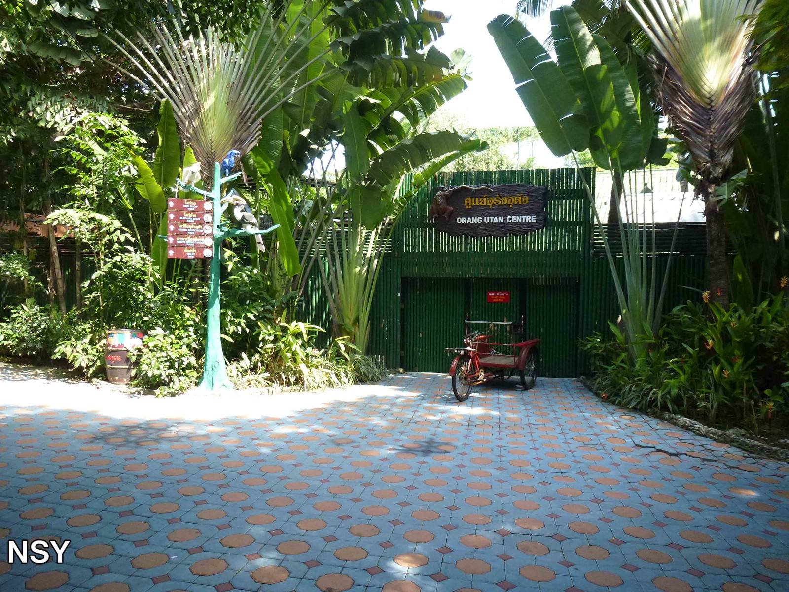 Orangutan centre, June 2013.