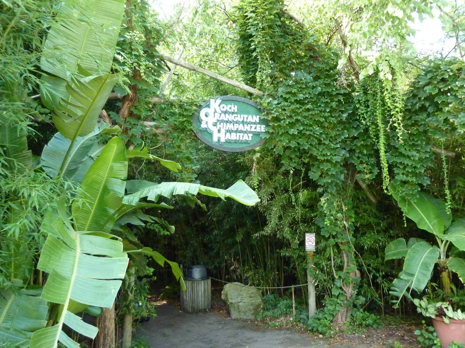 Orangutan/Chimpanzee Complex - Entrance