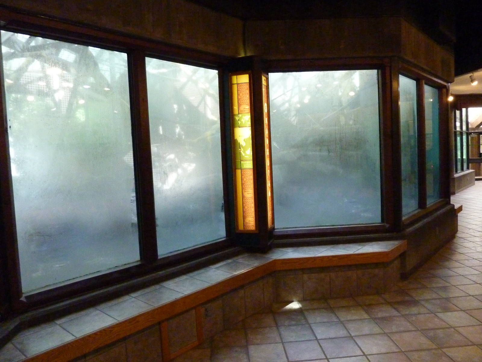 Orangutan/Chimpanzee Complex - Fogged Up Windows