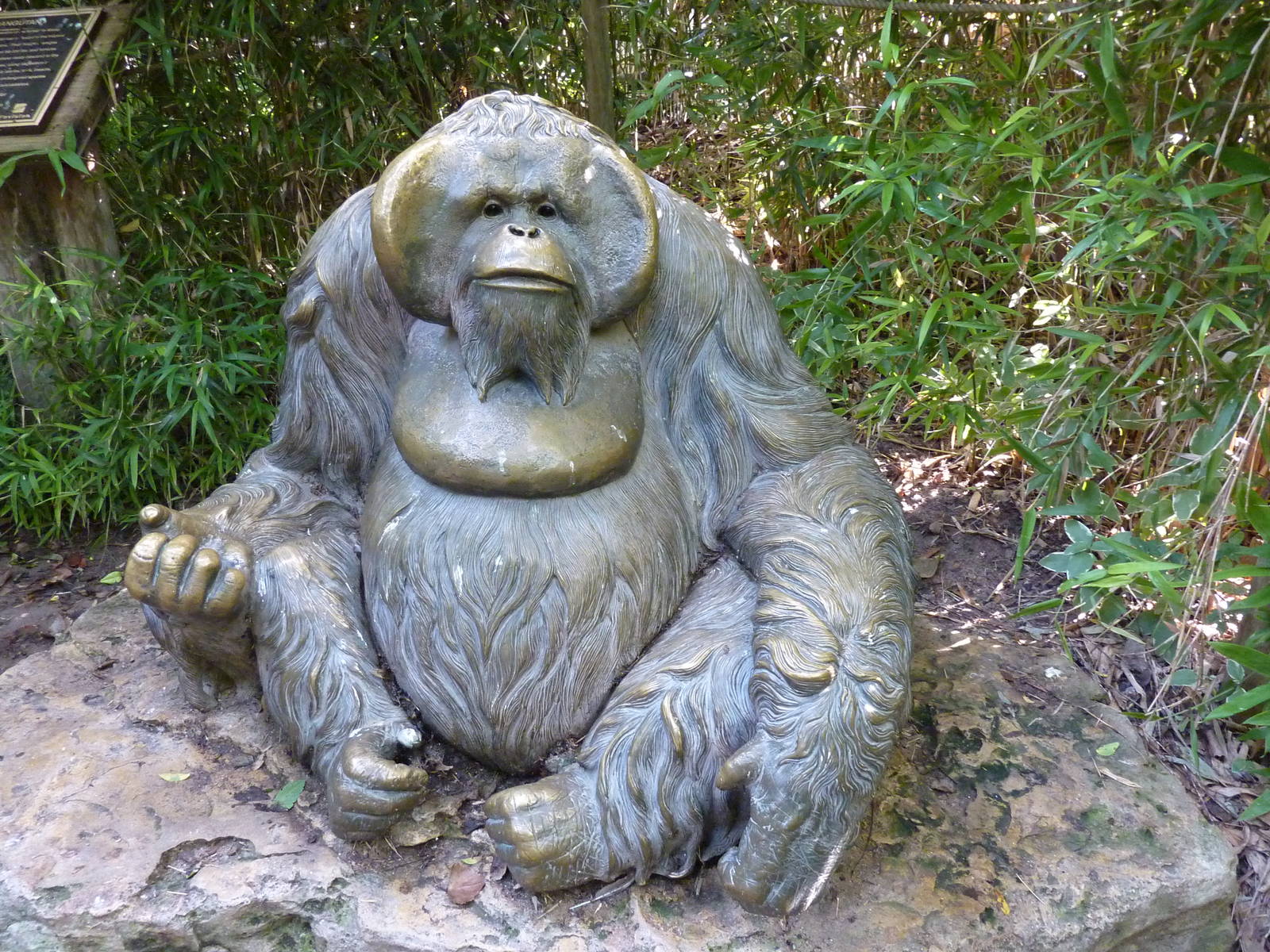 Orangutan/Chimpanzee Complex - Orang Statue