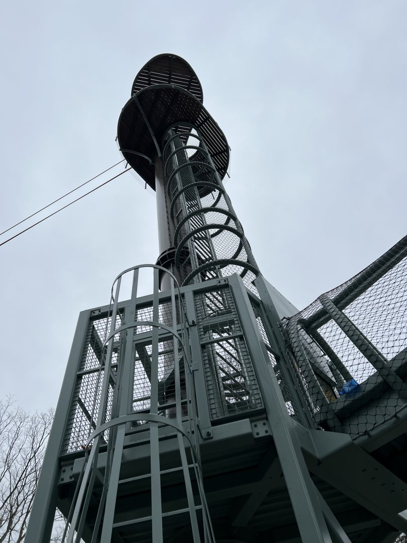 Orangutan Climbing Tower