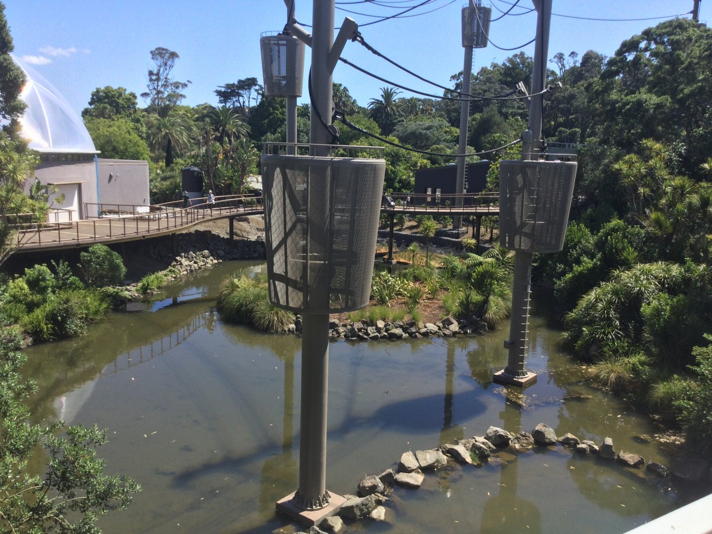 Orangutan Climbing Towers (View across Central Lake)